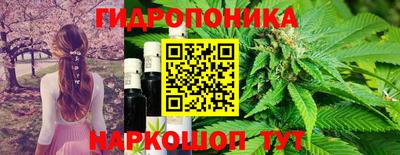 бошки Дубна
