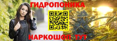 бошки Дубна
