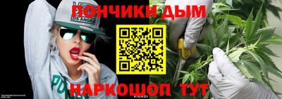 бошки Дубна