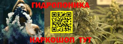 бошки Дубна