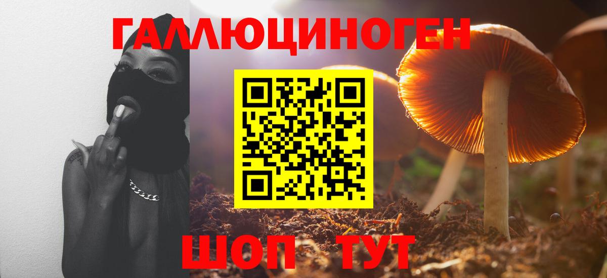Псилоцибиновые грибы Psilocybine cubensis Челябинск